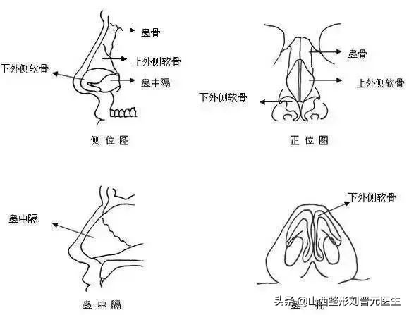 捏鼻子能让鼻梁变高,婴儿捏鼻梁变高真的吗