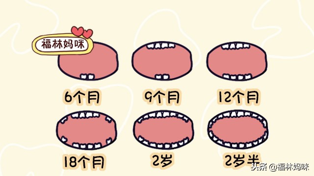 宝宝的出牙顺序,婴儿的牙齿是按什么顺序出牙的呢