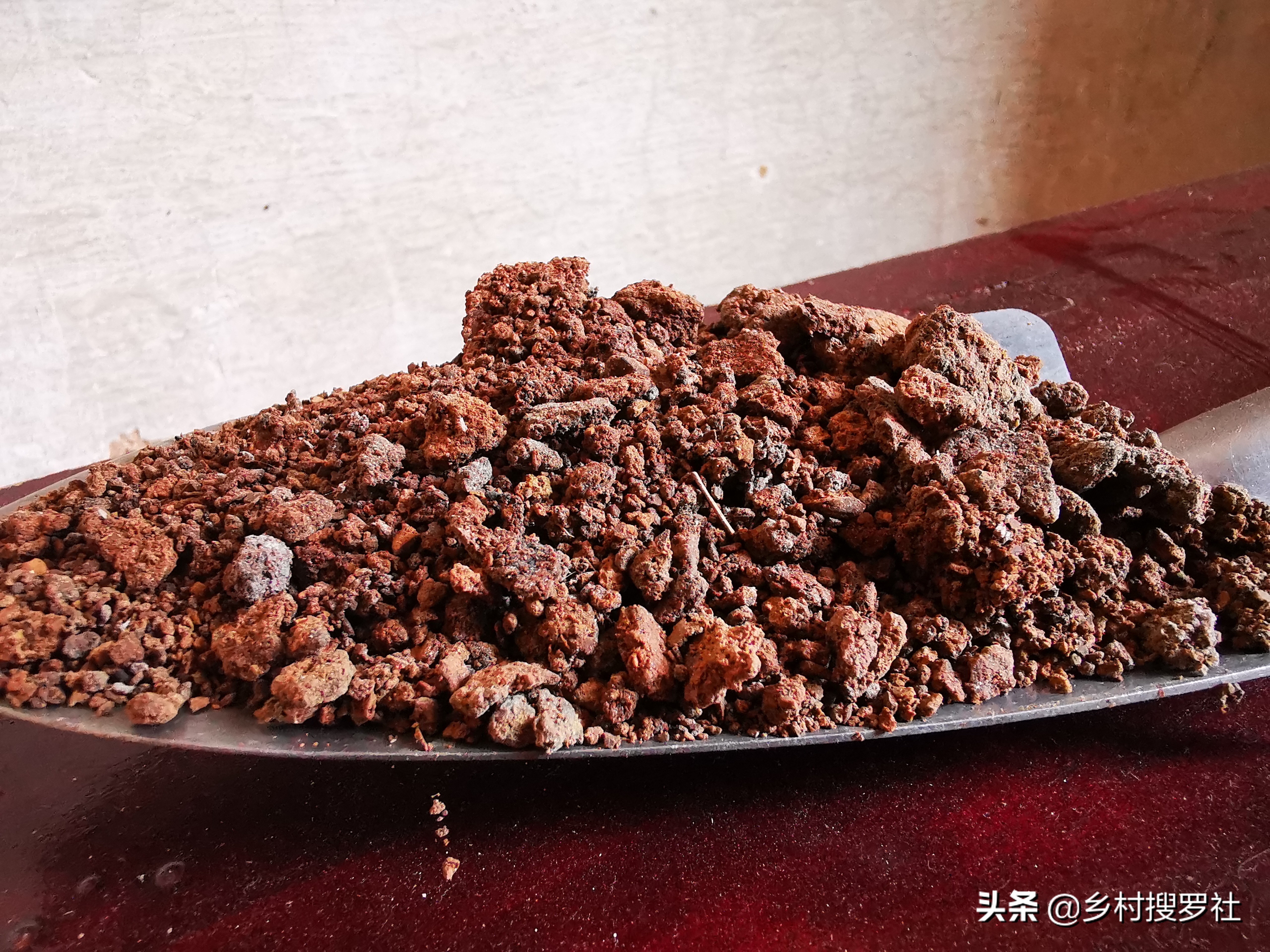 春季室外兰花如何杀虫和防虫,兰花杀虫最好的方法