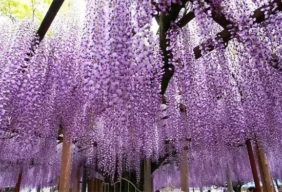 日本景点小众旅游攻略推荐,日本小众旅游景点推荐