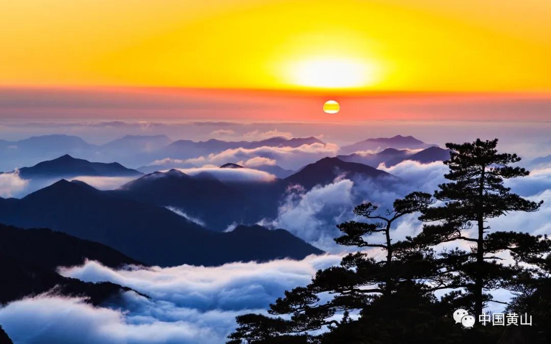 榛勫北绉嬪ぉ鎵撳崱,榛勫北绉嬪啲鎽勫奖澶ц禌