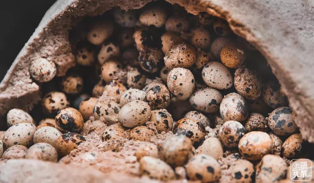 七宝千年古镇,一百元七宝古镇