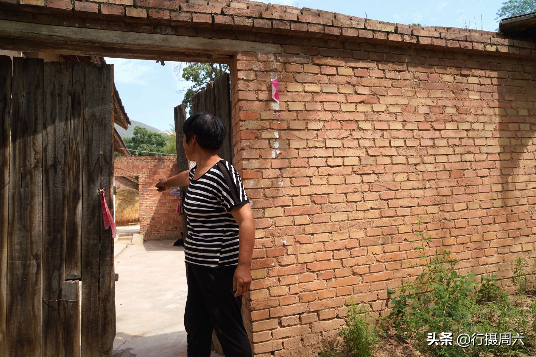 农民大姐家有“黑熊犬”，忠诚聪明1狗护全村，8万不卖