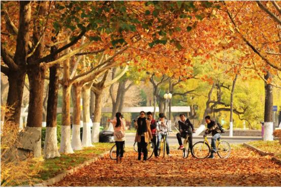 两院院士数量全国第一,中国拥有两院院士的大学排名