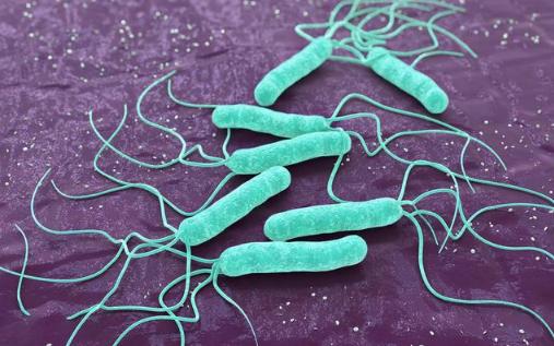 幽门螺旋杆菌胃糜烂中药除根,把胃病斩草除根