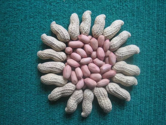 花生控旺用多效唑对花生有影响吗,花生控旺剂用什么药好