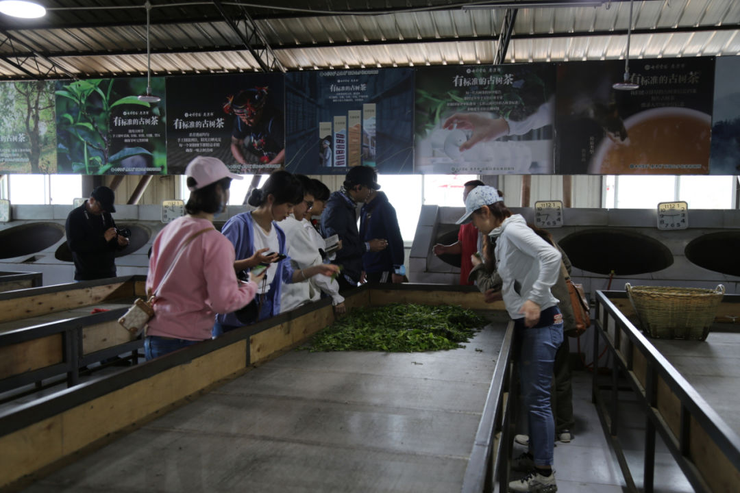 庆沣祥七彩云南普洱,庆沣祥七彩云南名门普洱