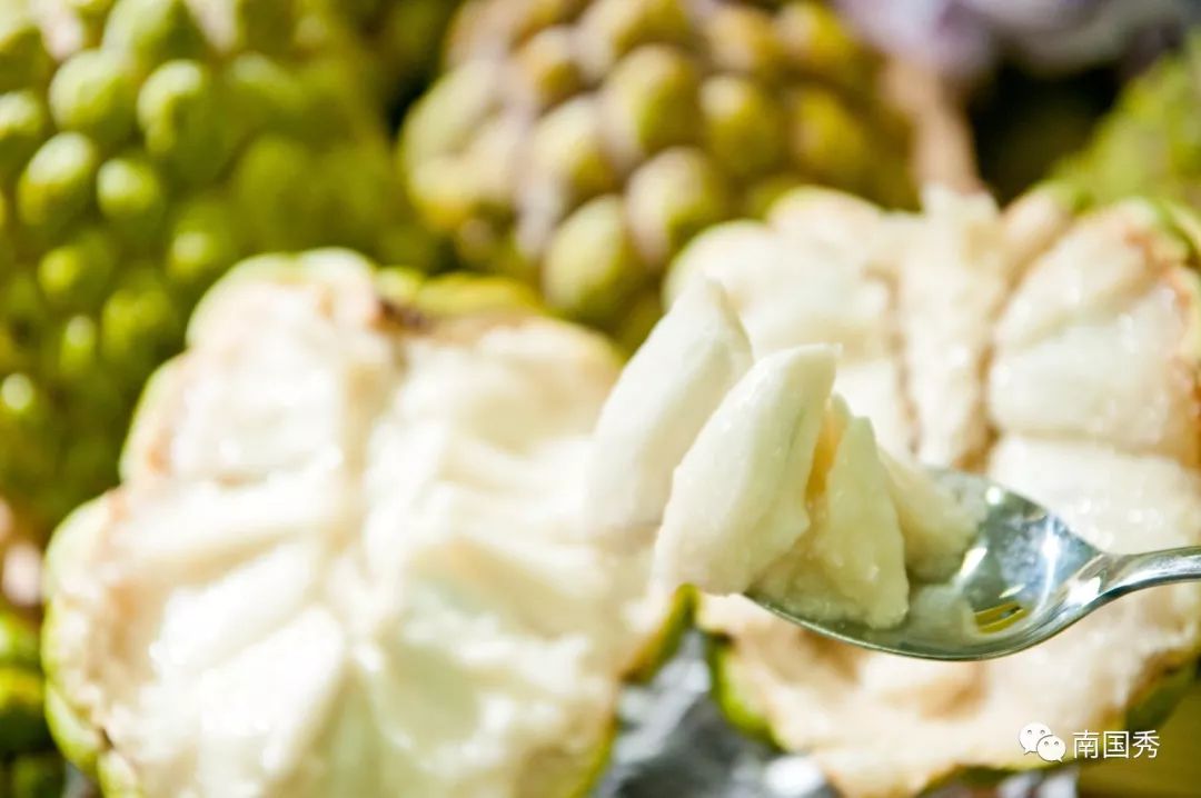 三亚游玩可以带什么特产回去,三亚特产大全图片