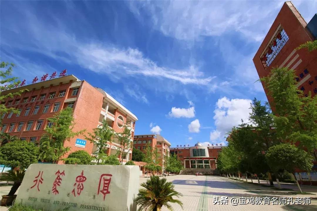 从a到z的小说,从a到z完整版