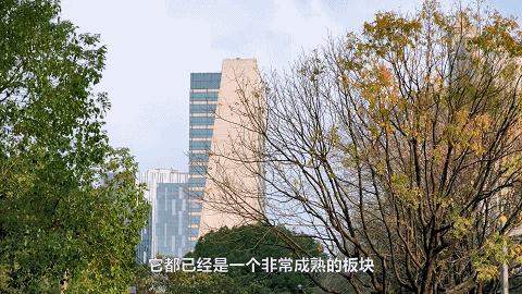 莘庄如何崛起,莘庄没落