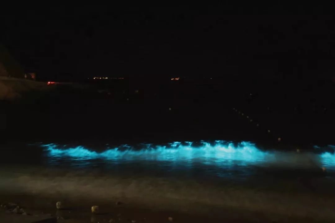 浙江超美的小众海岛,浙江最适合打卡的小众海岛