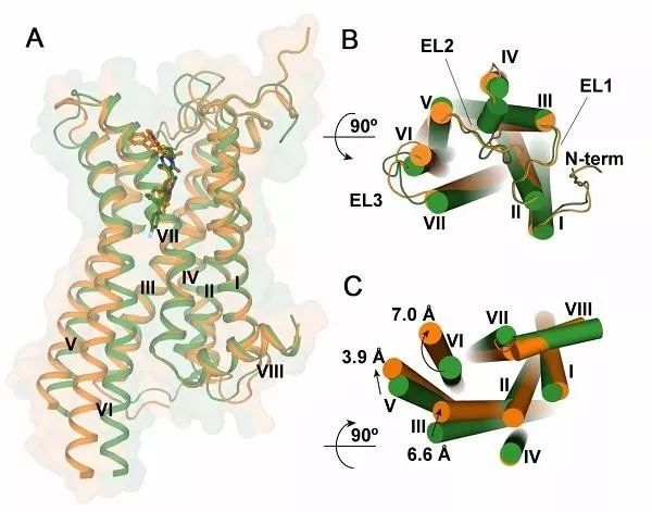 围术用药丨人工流产手术的麻醉进展