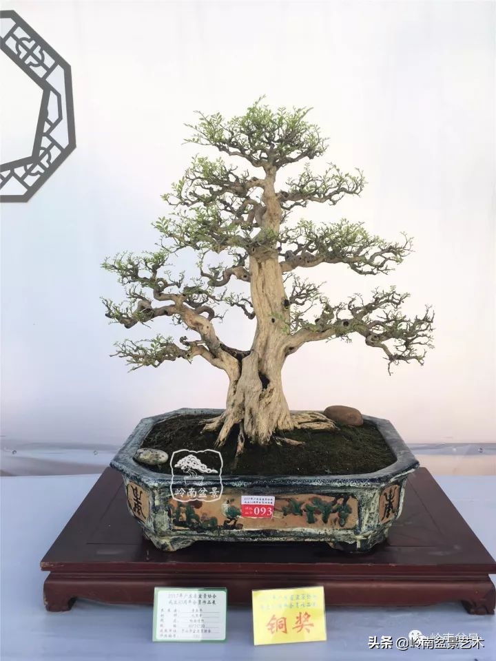 骞哥涔呬箙鐢滅敎铚滆湝,骞哥涔呬箙