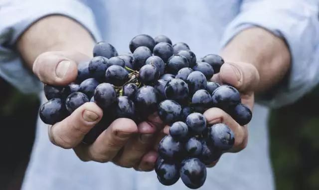 暴饮暴食怎么办吃什么药,我是如何克服暴饮暴食的