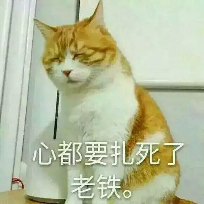驱蚊器对猫咪的影响,驱蚊产品对猫咪有什么影响