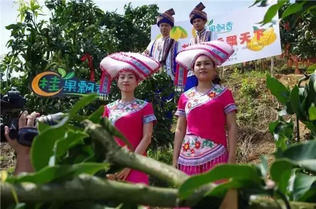 特色农产品直播带货案例,越来越多的农产品被直播带货