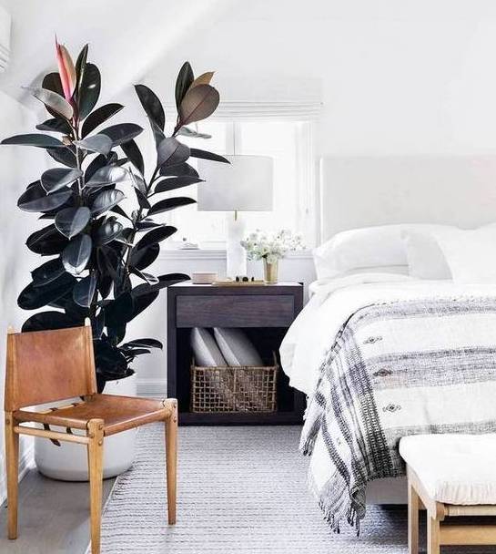 春天几月份适合移盆扦插,夏天可以扦插换盆吗