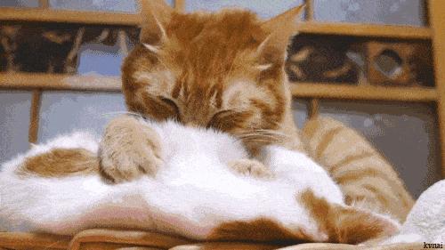 爱我，就给我舔屁股吧