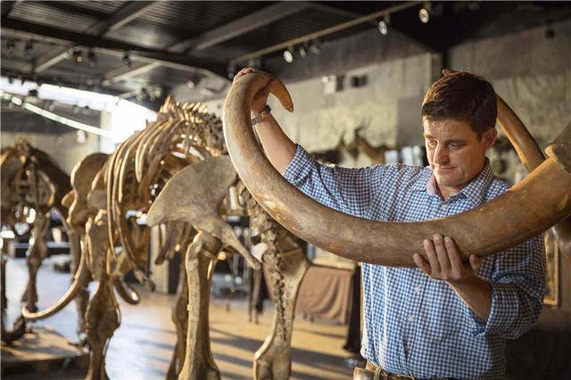 猛犸象杀死原始人,猛犸象杀人事件