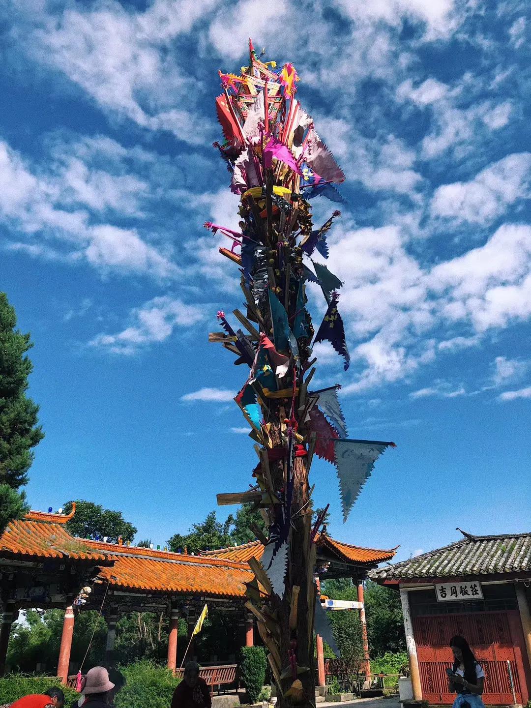 收下这份视觉盛宴，期待来年那场盛夏花火