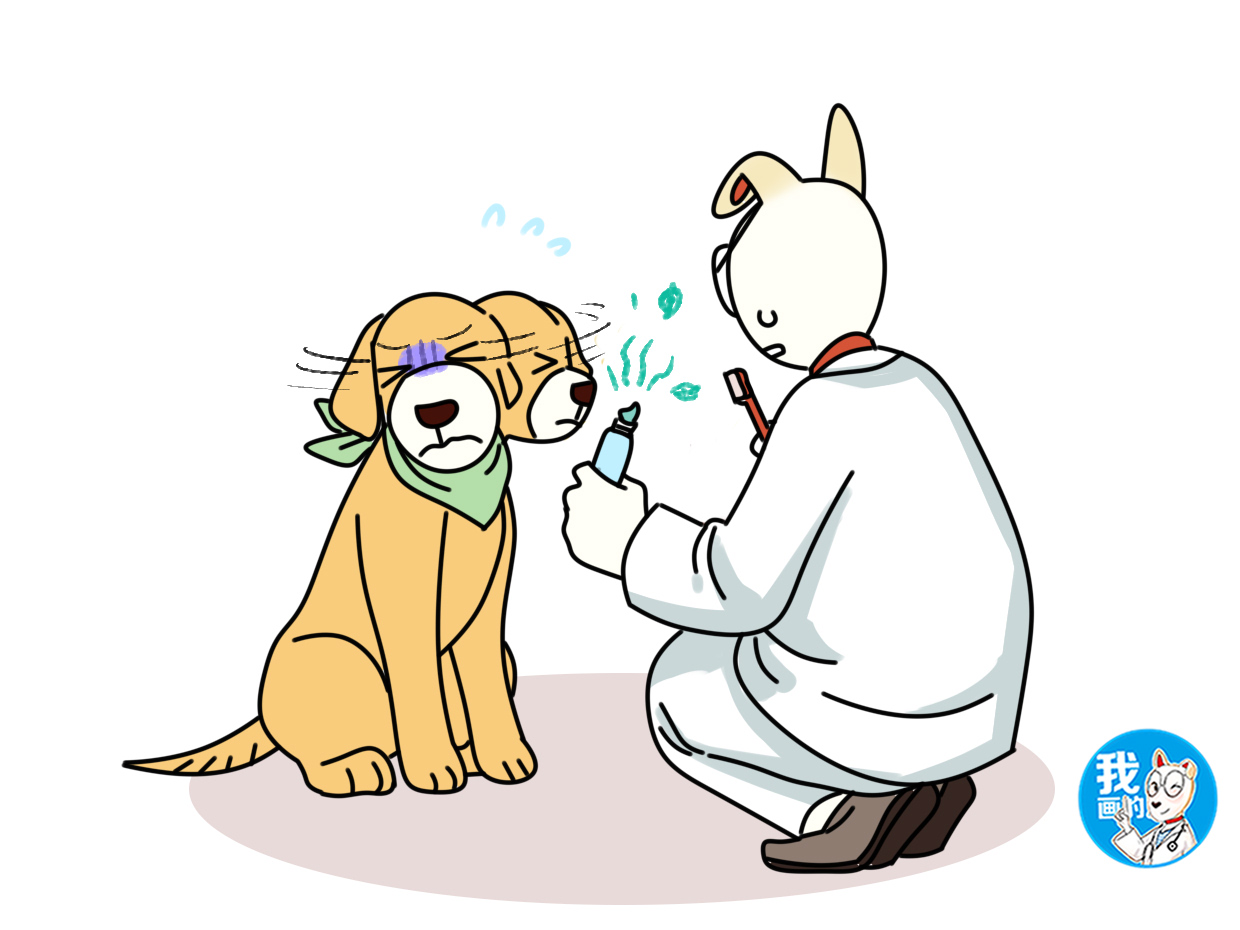 狗狗得了牙结石,狗狗得牙结石会有什么危害