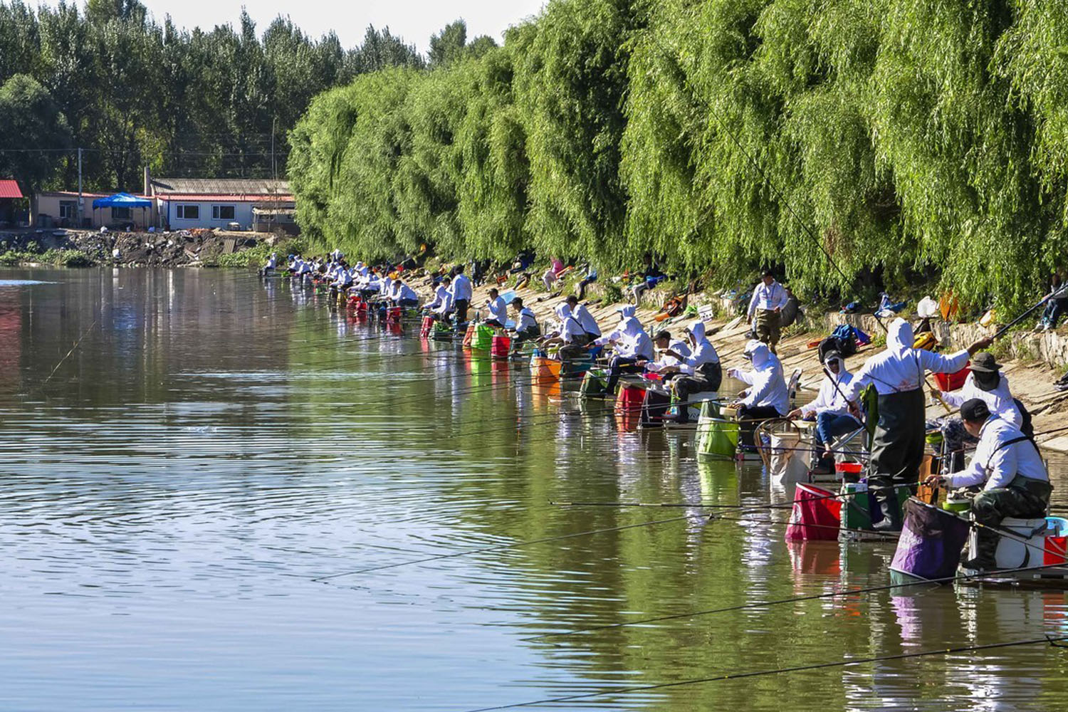 什么钓鱼小药最好用？怎么测试钓鱼小药的效果？强效钓鱼小药介绍