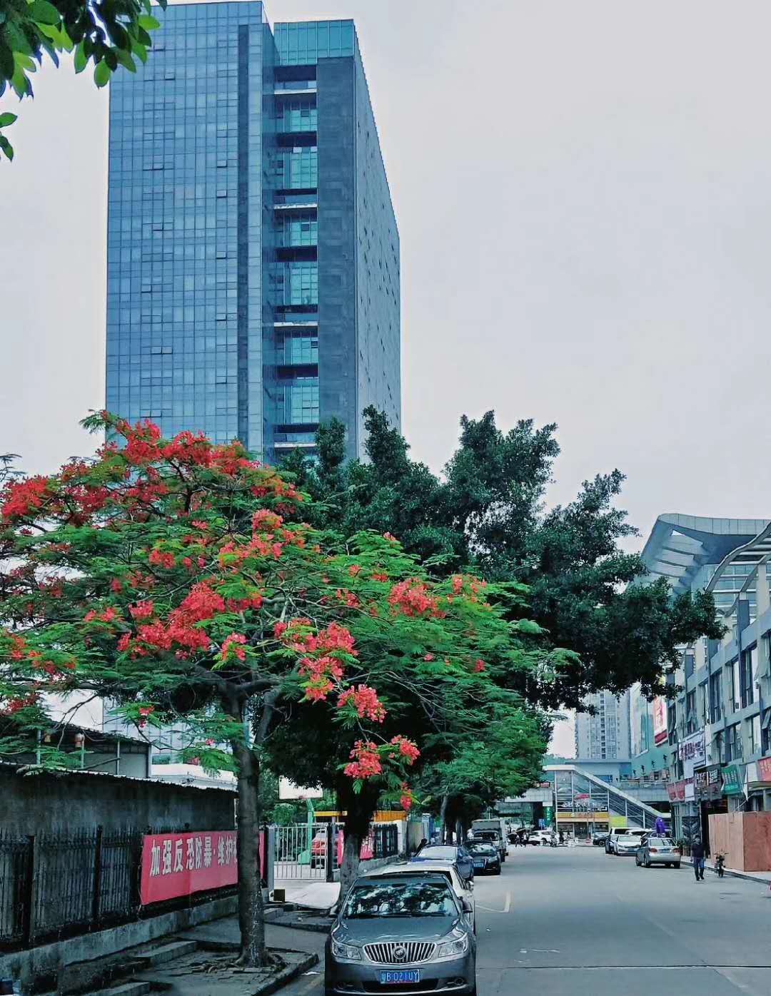 华南城有什么风景,华南城有多漂亮