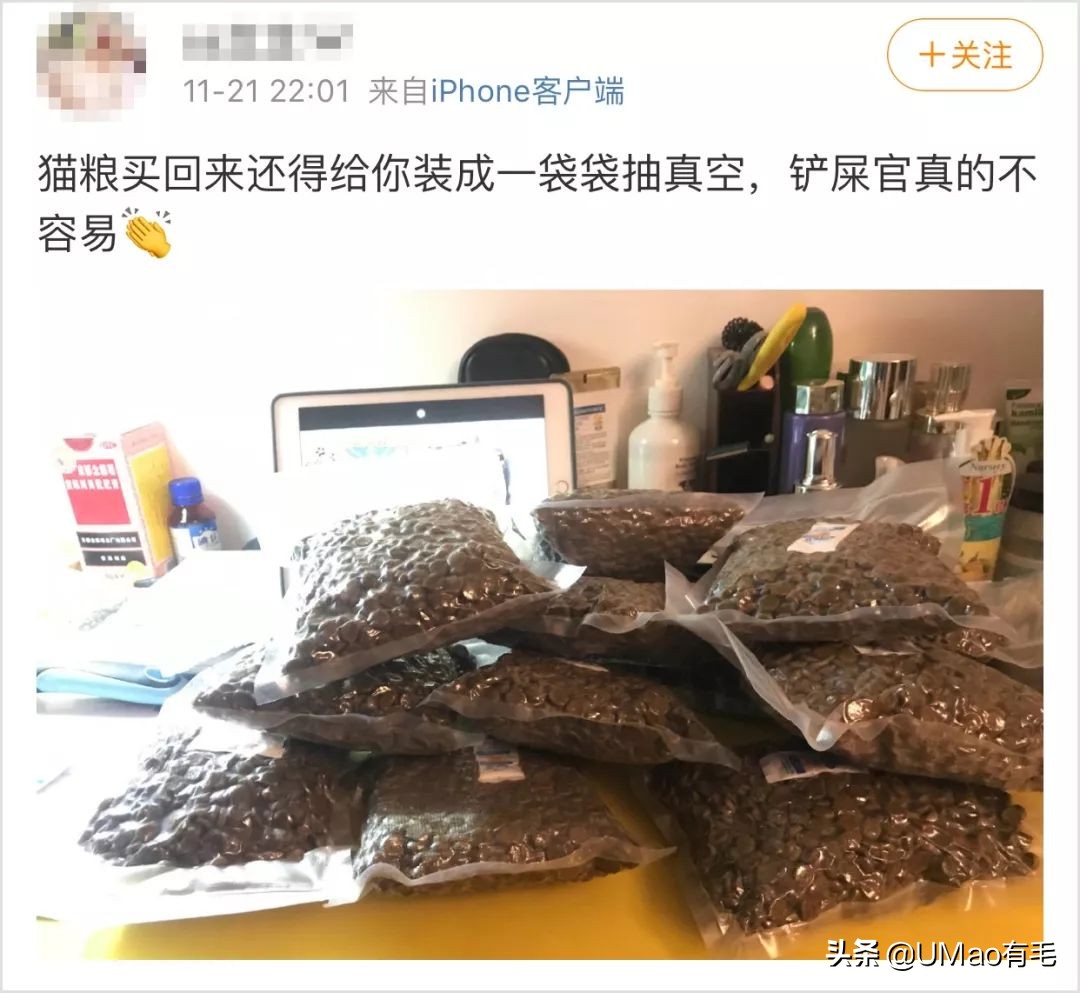 猫粮黄曲霉素中毒,猫吃了毒猫粮慢性中毒