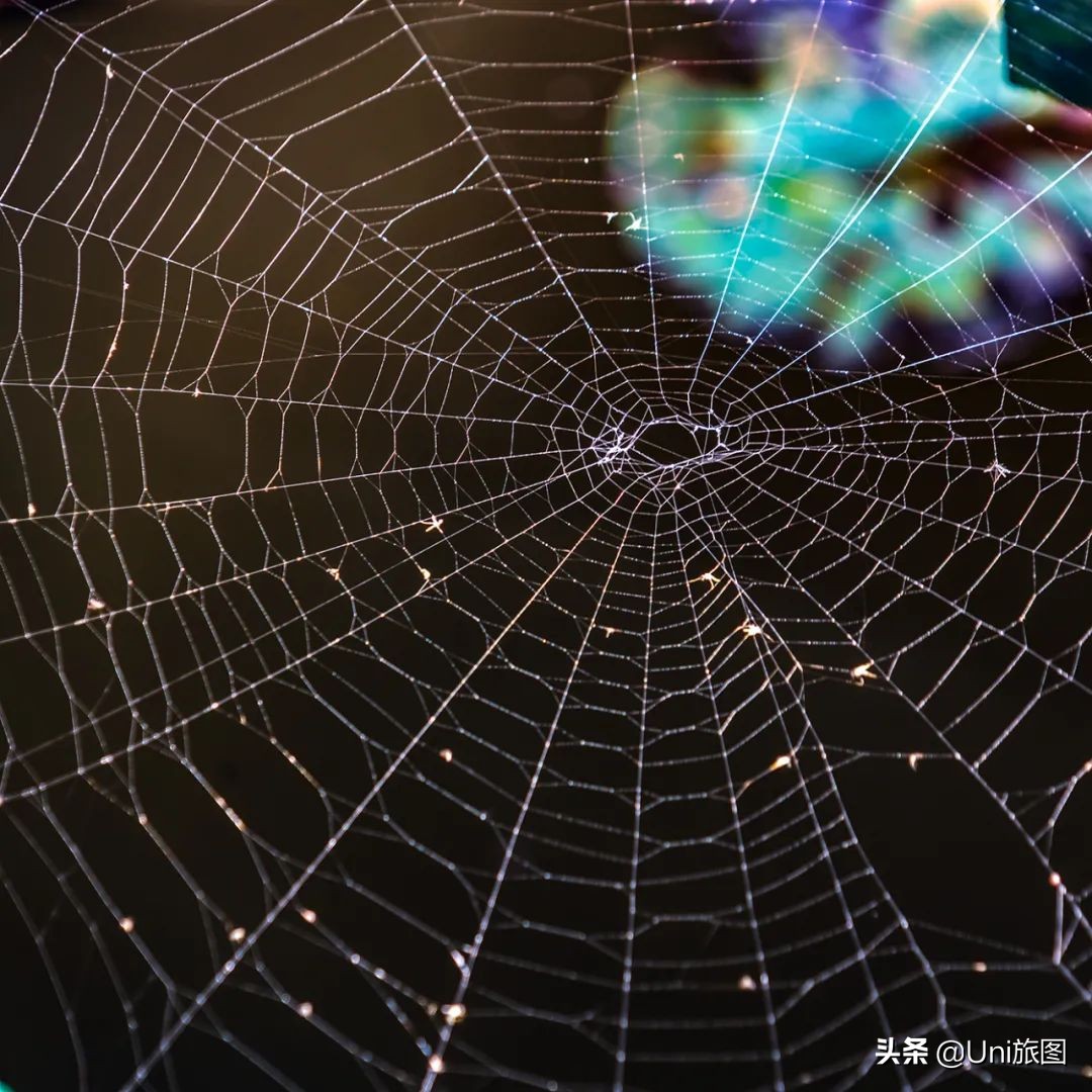 最幽静古韵江南唯美夜景风景,带你看夏日高原怡人的风景
