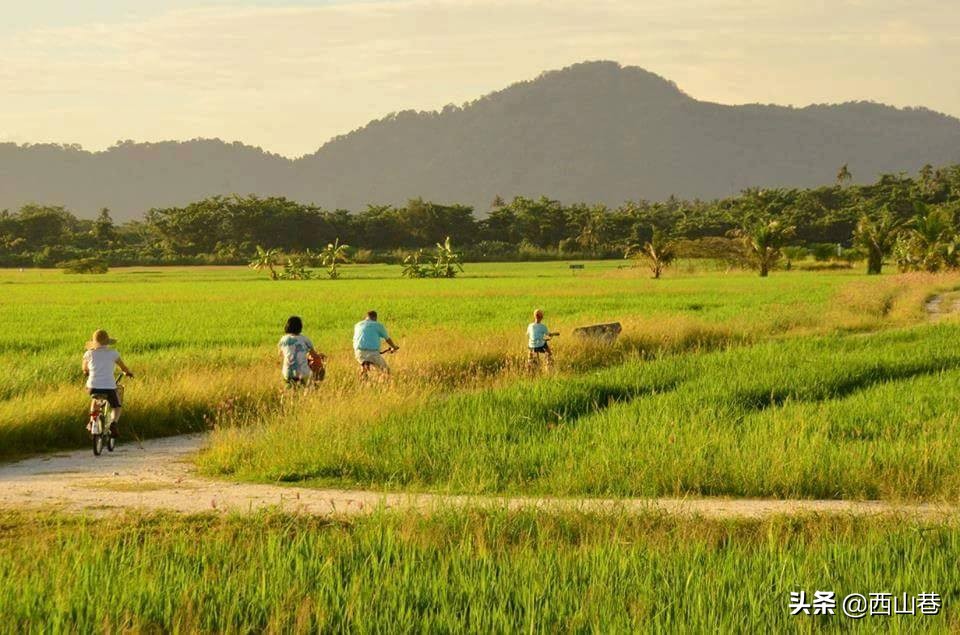 槟城的重要旅游景点有哪些地方,槟城最值得去的旅游景点