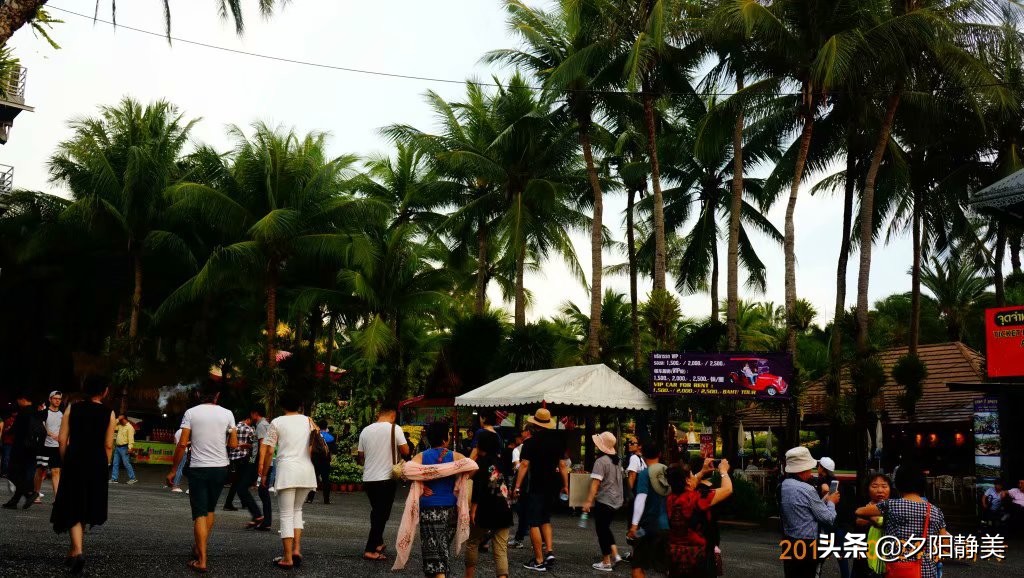 泰国芭提雅东芭乐园视频,芭提雅东芭乐园游玩攻略