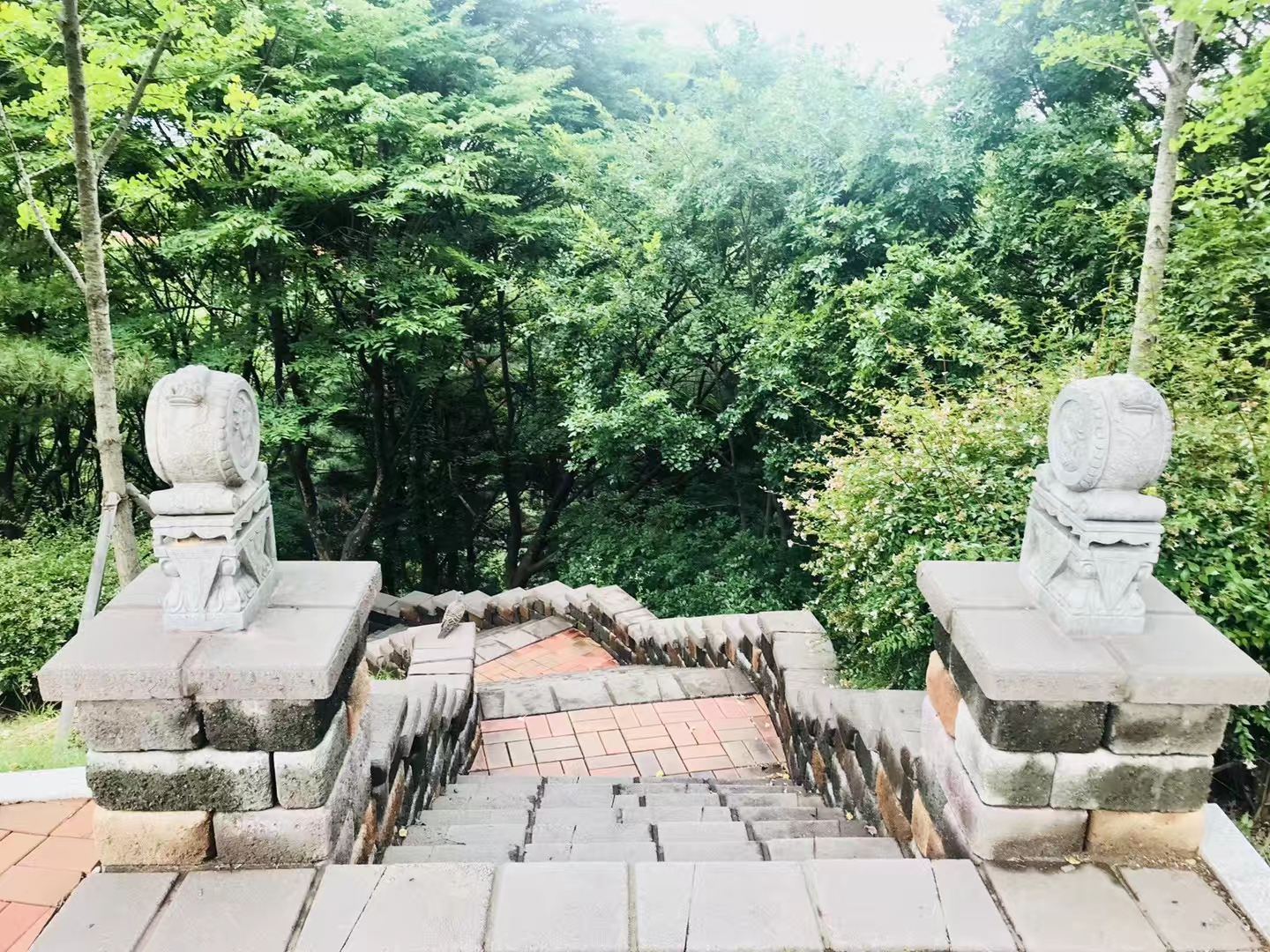 启明大学校园介绍,启明大学是国际学校吗