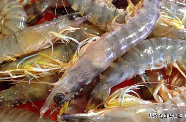 5年后农村养殖什么最赚钱,农村2021年养殖什么前景最好