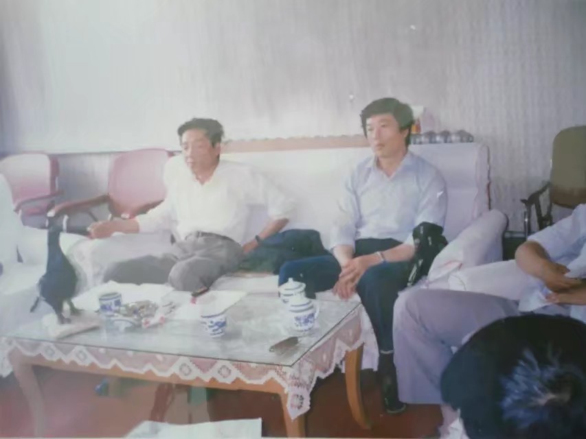 伊春林区往事,伊春林区往事1982年