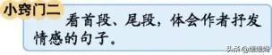 部编版五年级下册语文单元知识点,2019五年级下册语文第八单元21课