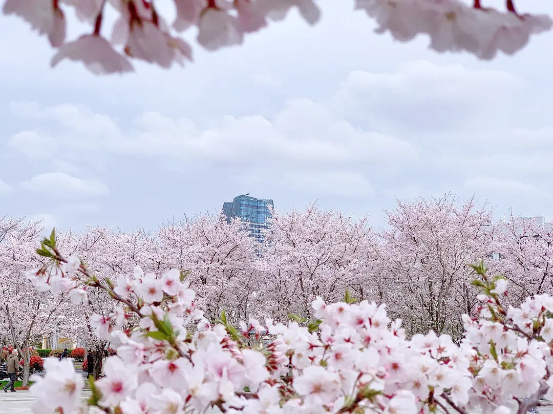 如何拍出漂亮的云朵视频,如何拍出好看的云朵视频