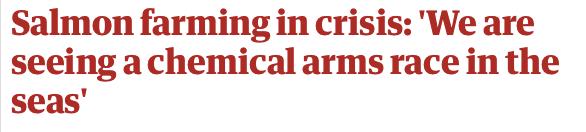 “最毒僵尸鱼”,外媒曝挪威三文鱼养殖乱象,看完胃不好了