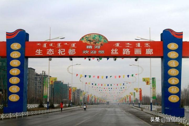 新疆的精河县,新疆精河枸杞乌鲁木齐