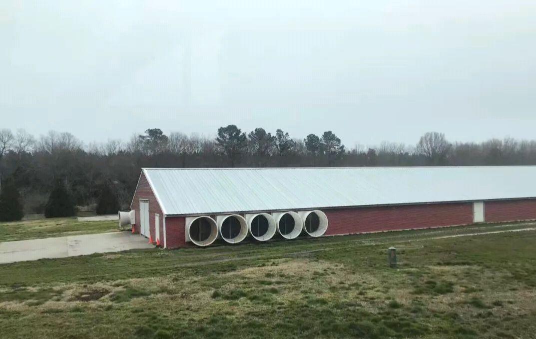 猪场都需要建什么,猪场不做封闭式管理