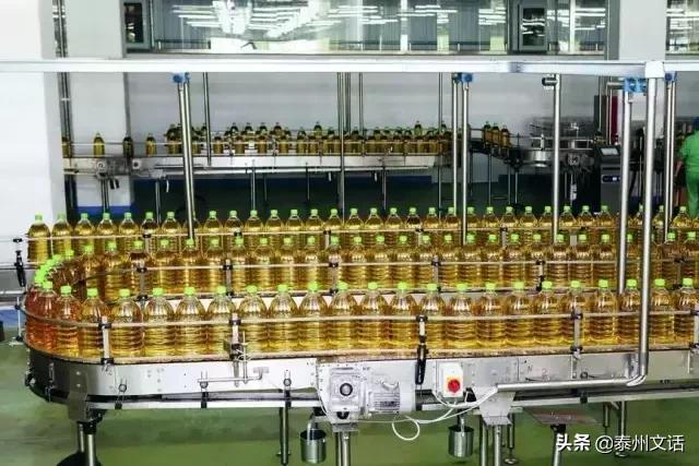 汇福粮油食品加工产业基地项目,汇福粮油集团董事长泰州