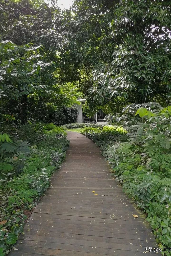 涓栫晫鍏ぇ鍜栧暋鍩庡競,涓栫晫鍏ぇ鍜栧暋