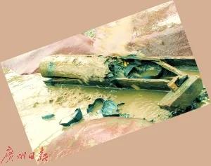 挖宝现场完整视频,挖宝的视频