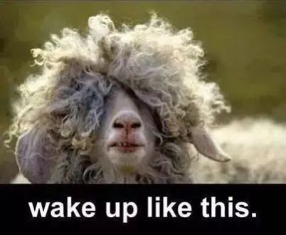 杨幂懒人直发梳,杨幂金稻直卷发梳用法