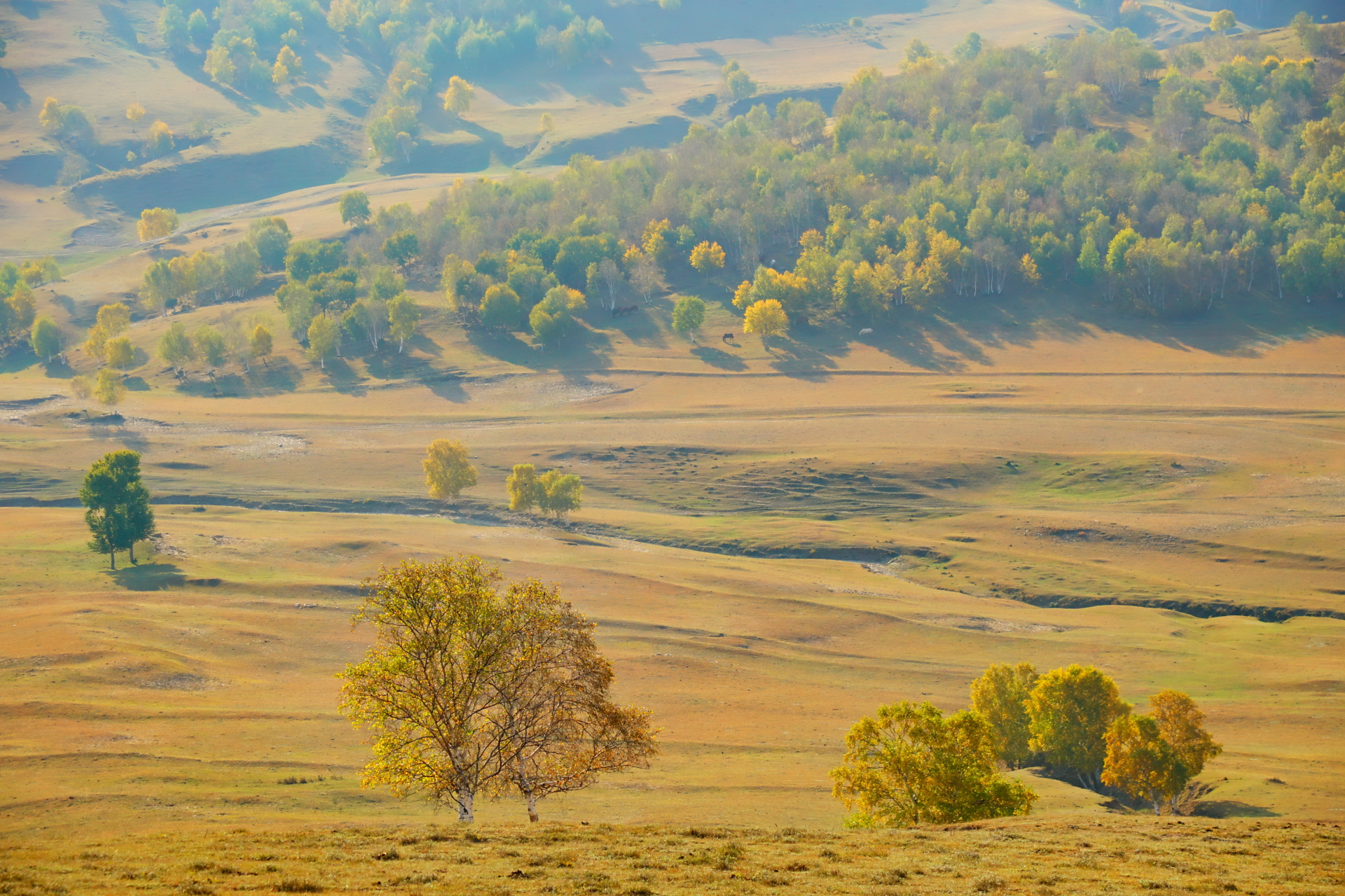 京北第一天路千松坝国家森林公园,千松坝森林公园和京北第一天路