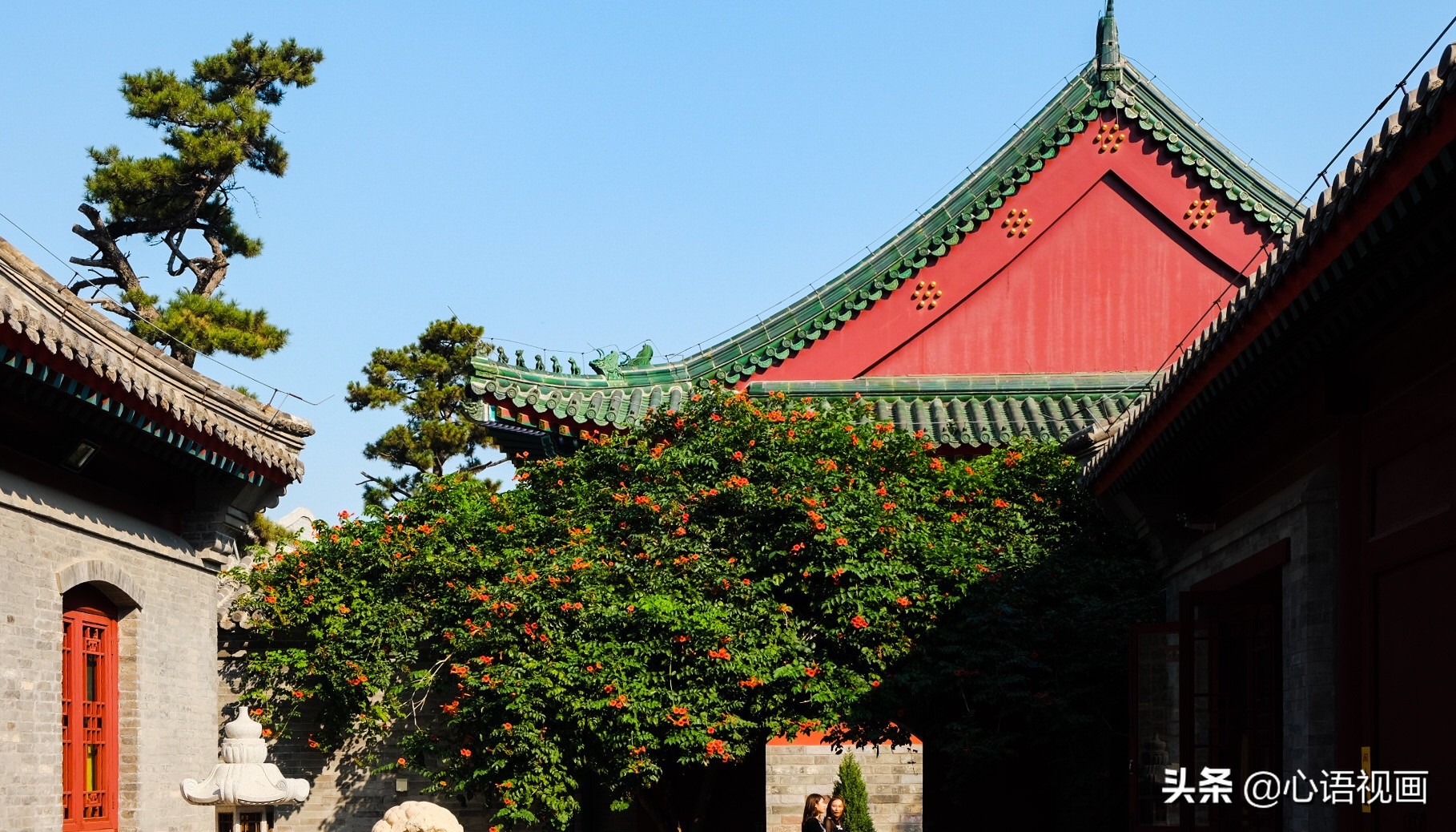 天津市最大的寺院在哪里,天津市最大的佛教寺庙