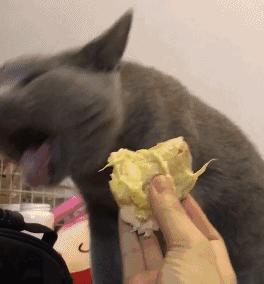 刷牙时刷舌头恶心想吐是怎么回事,刷牙恶心干呕想吐怎么解决