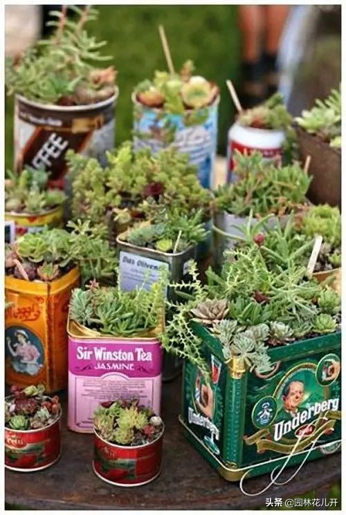 创意花盆简单制作方法,居家花盆