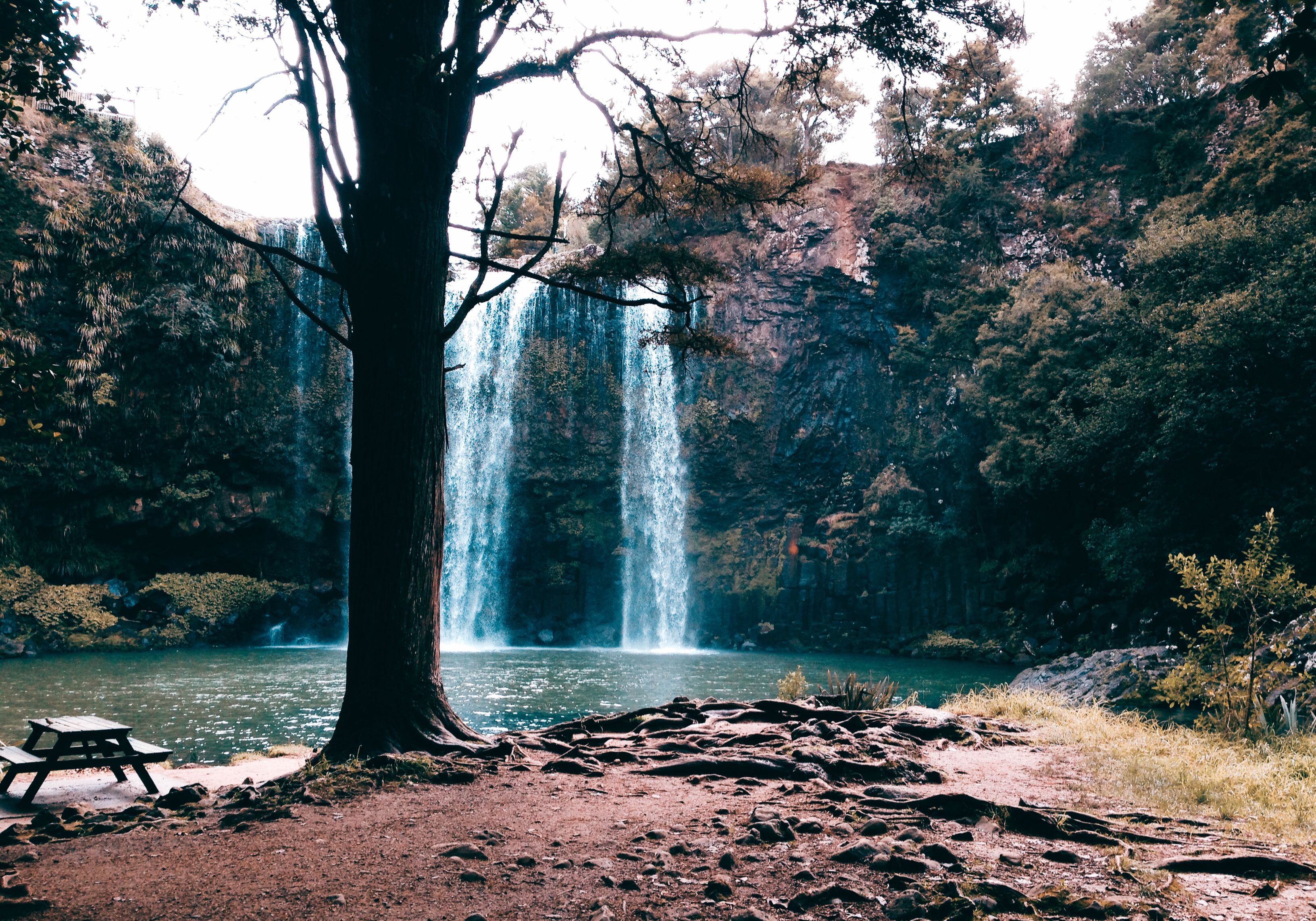 不到4W元的14年中古车，如何陪我闯荡奥克兰（附小众景点干货）