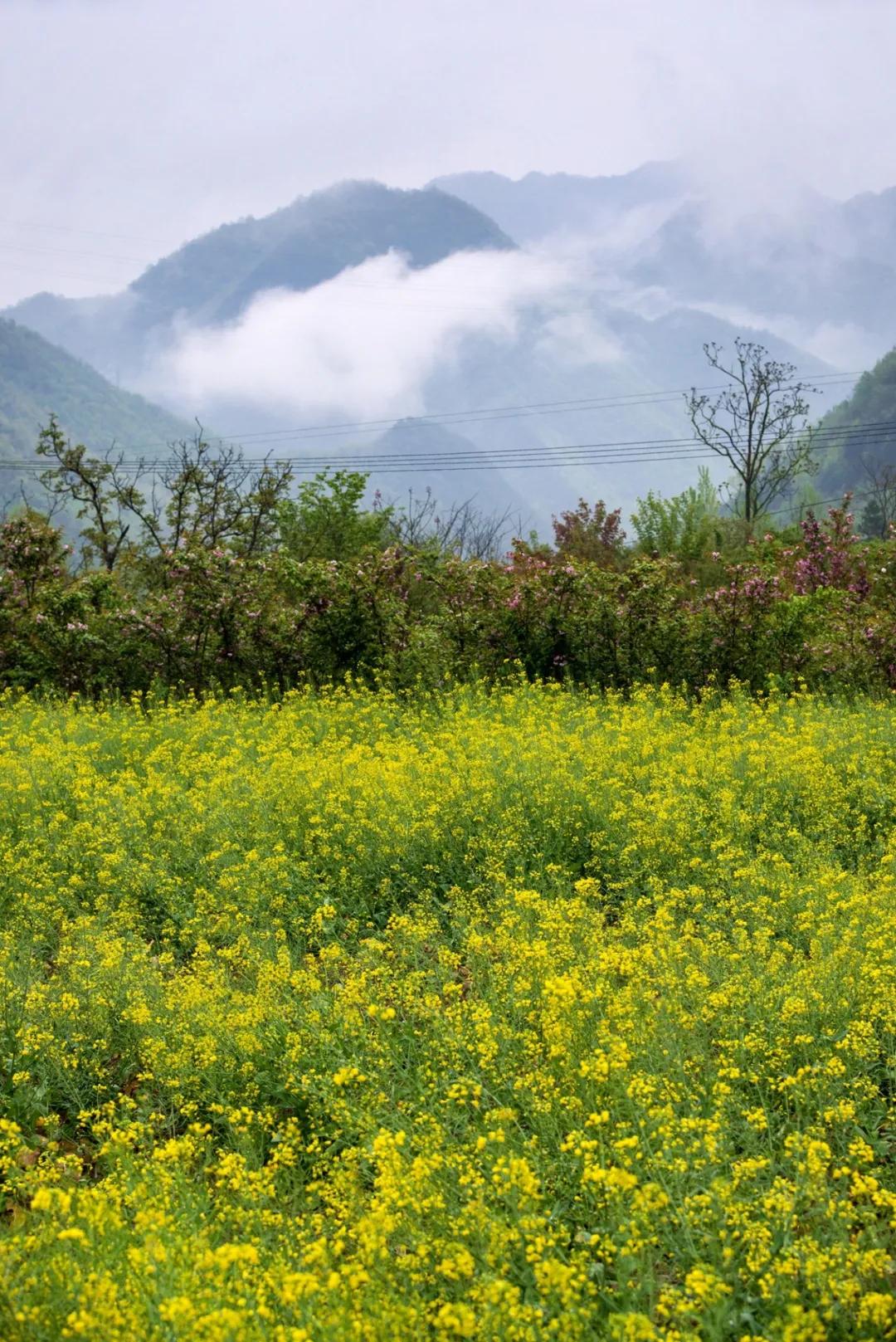 陕西秦岭最美的小城在哪里,秦岭深处的小县城暗藏着绝美秋色