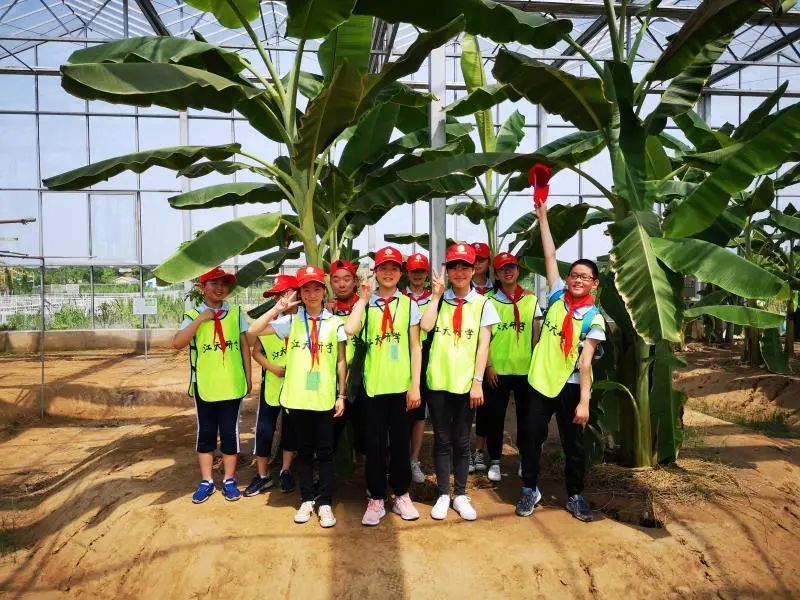 江苏省南通市启东市长江小学,启东长江小学研学